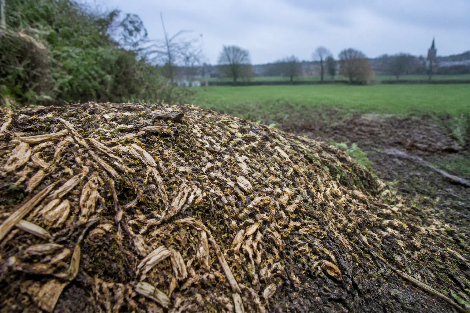 Broyage des déchets verts : quelle option à Villers-Bocage ?