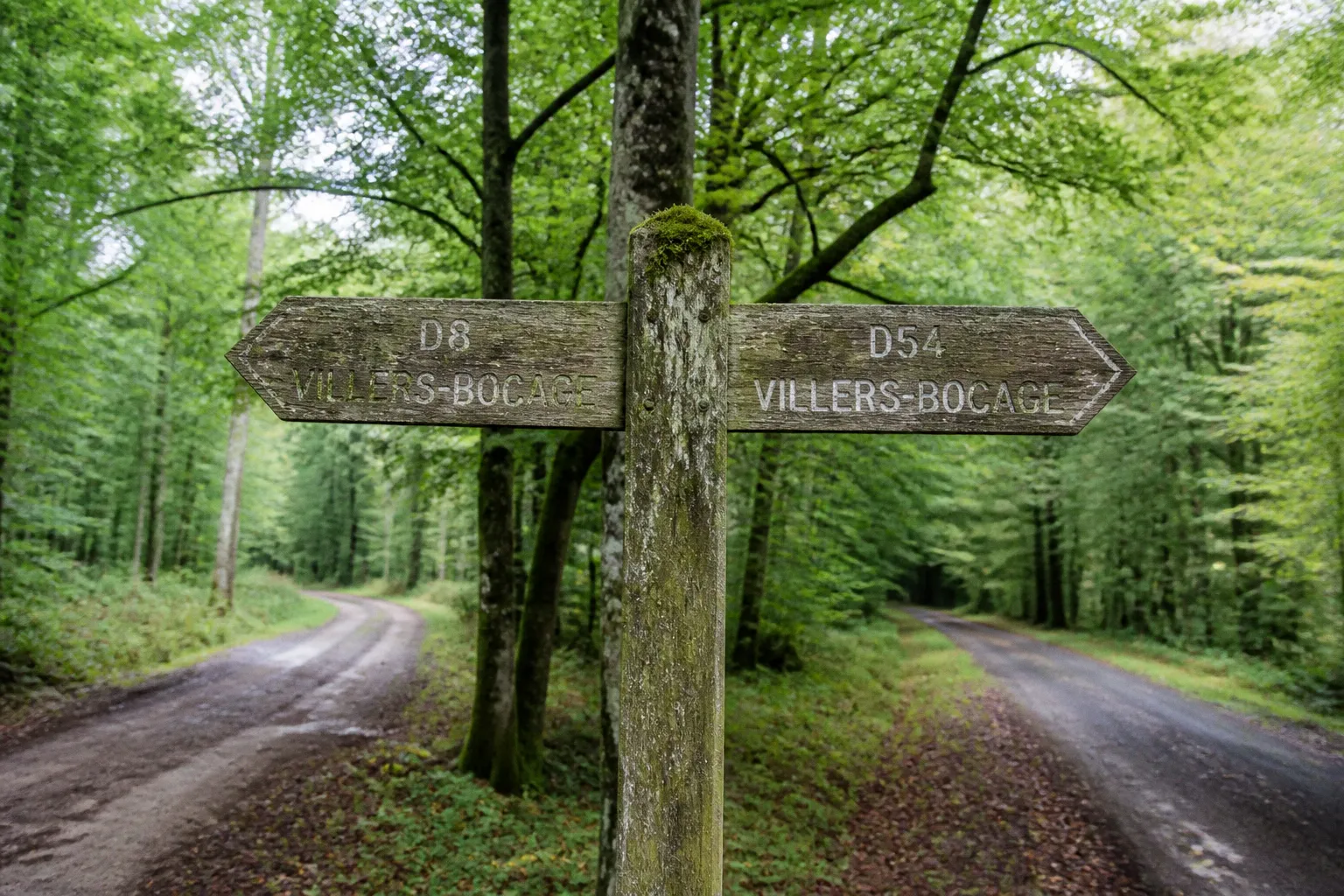 Forêt de Grimbosq : D8 ou D54 depuis Villers-Bocage ?
