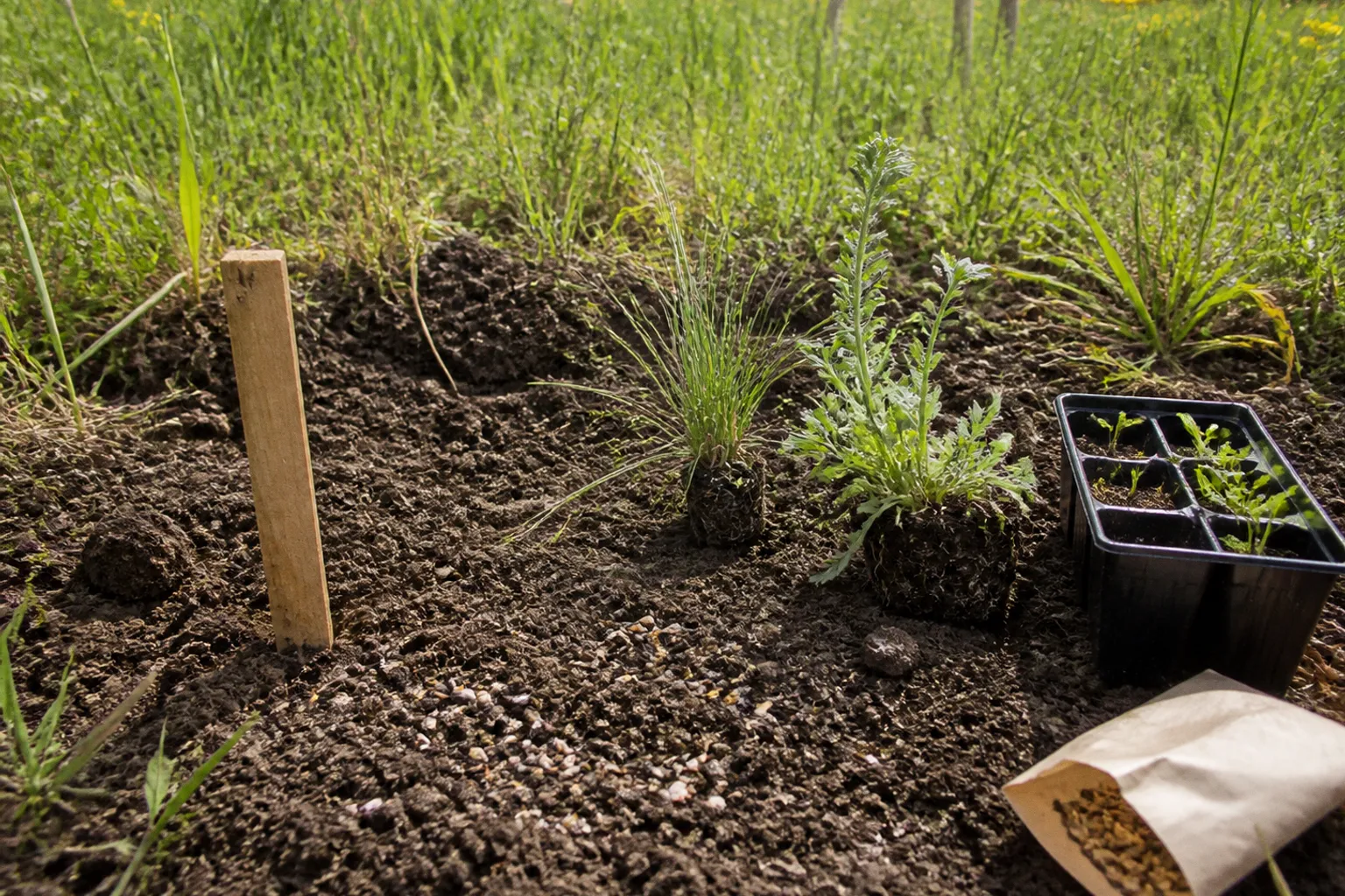 Refuge de biodiversité dans le Calvados : étapes de création